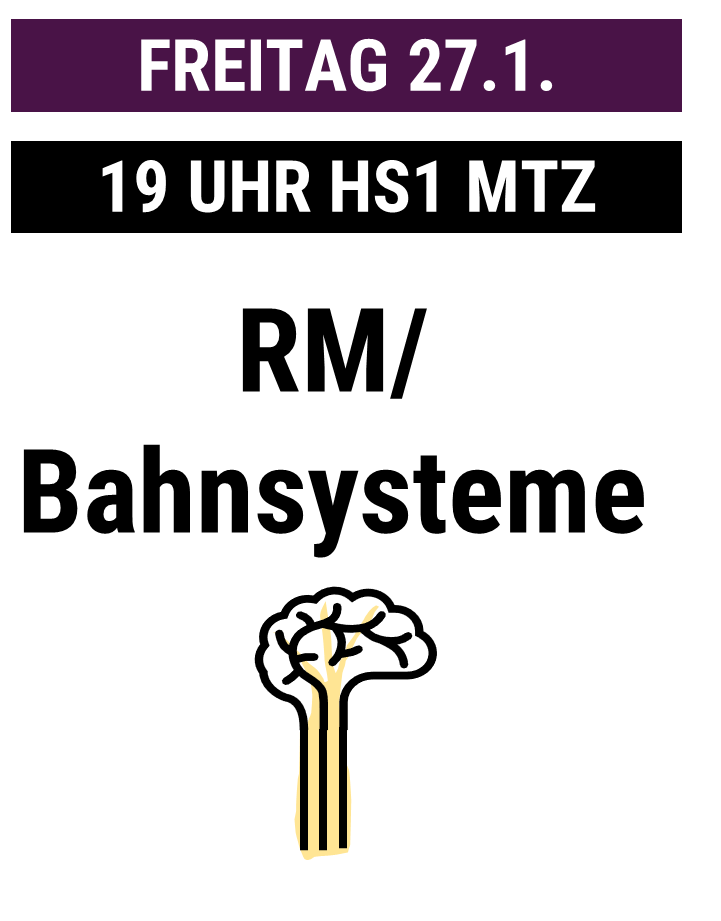 DVR Neuroanatomie Repetitorien