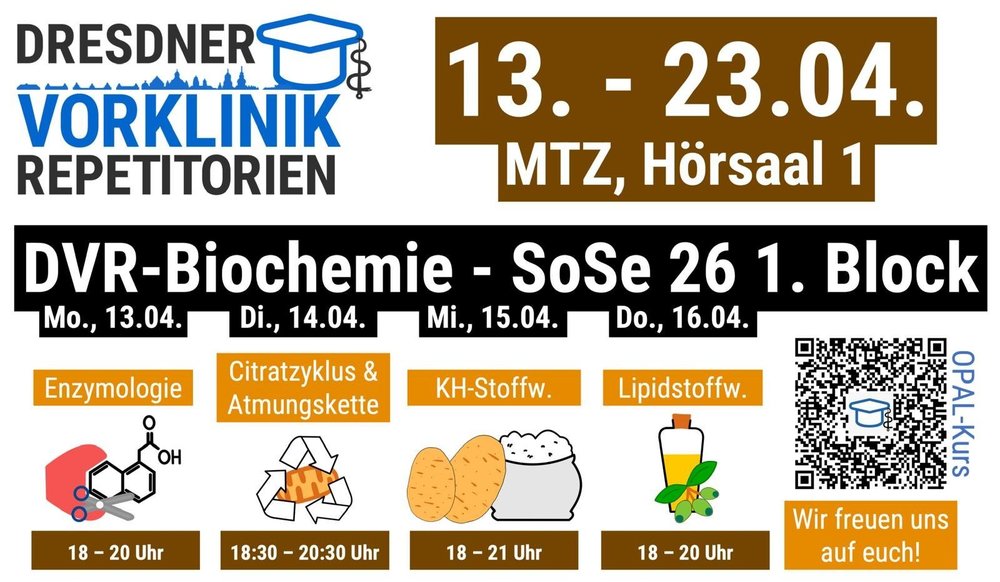 WhatsApp Image 2026-04-08 at 19.39.45 (1).jpeg