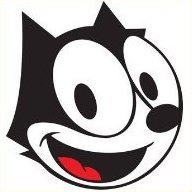 Lucky-the-cat